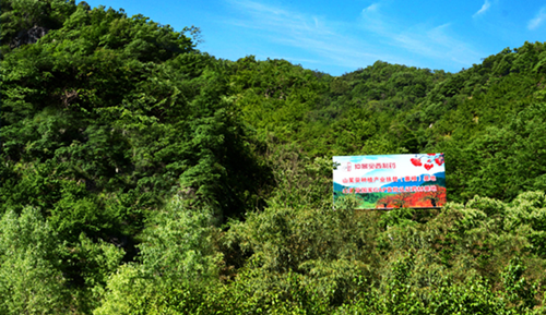 1519810338491085714.png 1.png