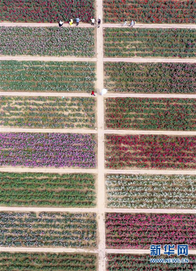 1526264631579017203.png 4.png