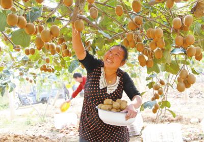 1526265225954022284.jpg 6.jpg