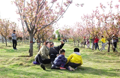 1523528075081087535.png 55555555555555.png