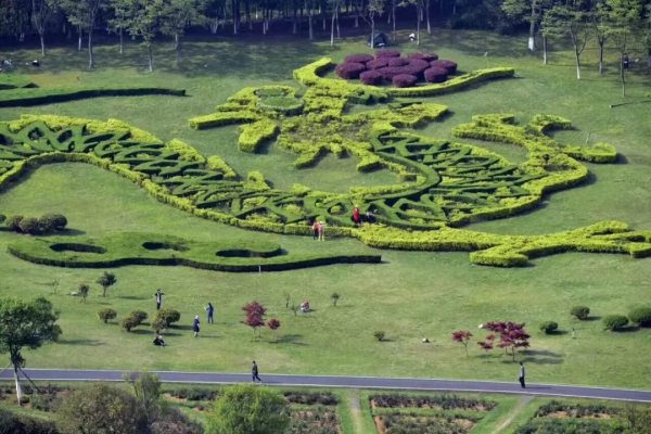 1523241958771007316.jpg 13.jpg