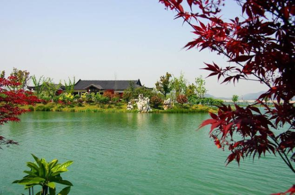 1523413556099028644.jpg 03.jpg