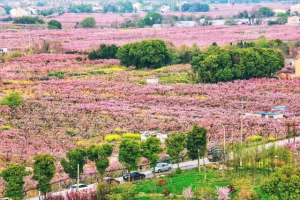 1523350011398031273.jpg yangshan.jpg