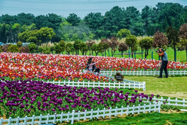 1524114303582041520.jpg 05.jpg