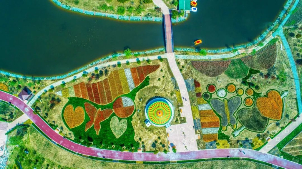 1524114282058022671.jpg 03.jpg