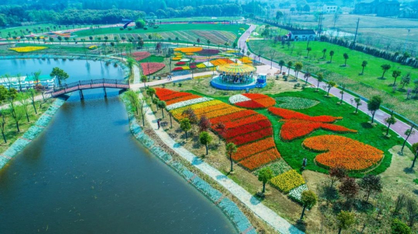 1524114347147034125.jpg 04.jpg