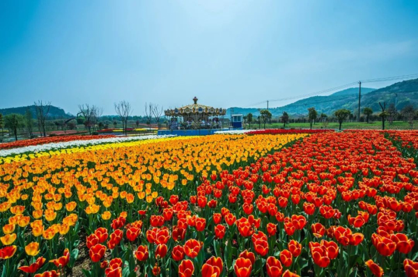 1524114362337059744.jpg 06.jpg