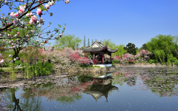 1524115014024037387.jpg 蠡园.jpg