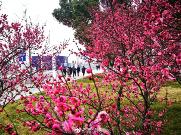 1519637507326052365.jpg 01.jpg