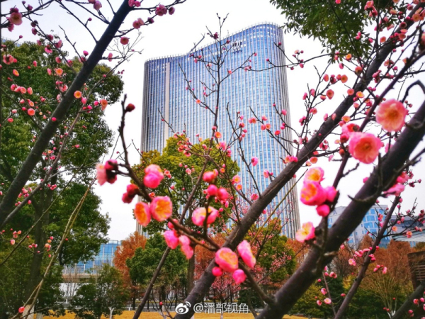 1519637522535009458.jpg 02.jpg