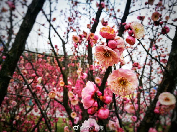 1519637538851027869.jpg 03.jpg