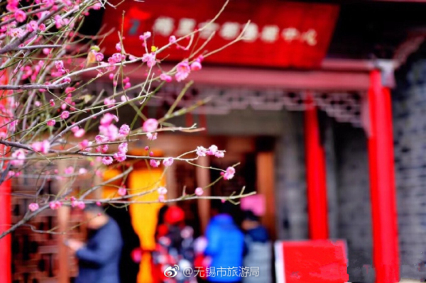 1519637555100018140.jpg 04.jpg