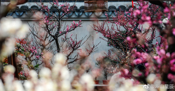 1519637571171064810.jpg 05.jpg