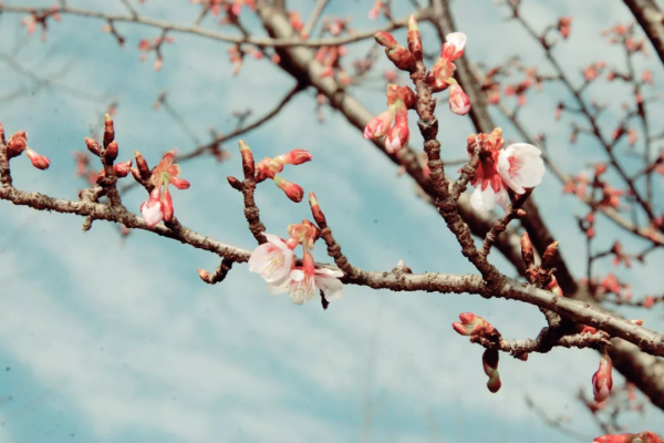 1520219116631025459.png 02.png