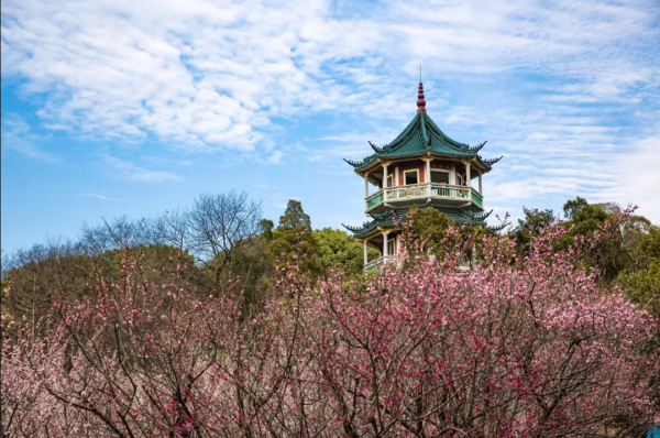 1521537909692041892.png 05.png