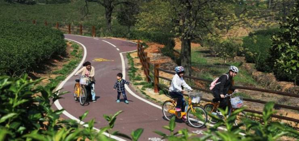 1521710343761032021.jpg 03.jpg