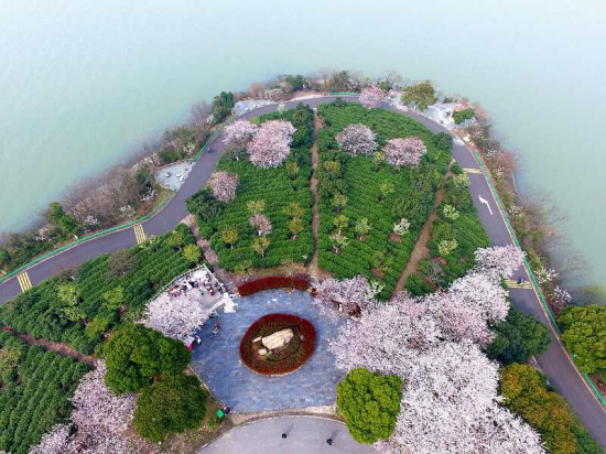 1522119761114013675.jpg 14.jpg