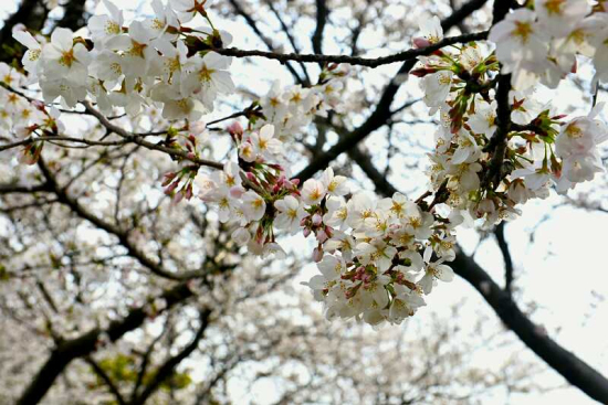 1522119774914061828.jpg 10.jpg