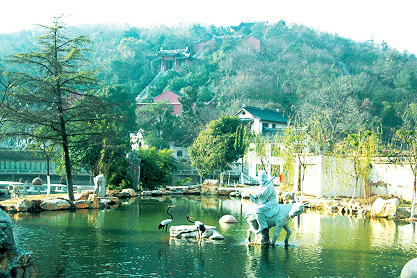 1522132813754045499.jpg 宜兴张.jpg