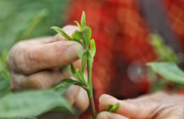 1522313885236068514.bmp 03.bmp