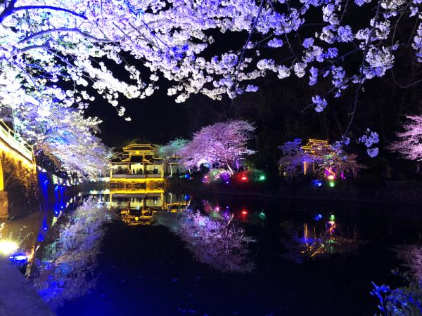 1522312983876082813.bmp 11.bmp