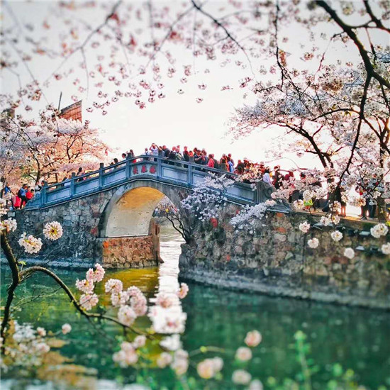 1522315712134098647.jpg 03.jpg