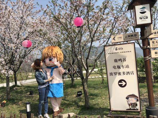 1522315489476072221.jpg 05.jpg