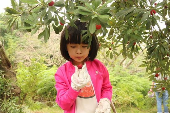 1528965950721070500.jpg 04.jpg