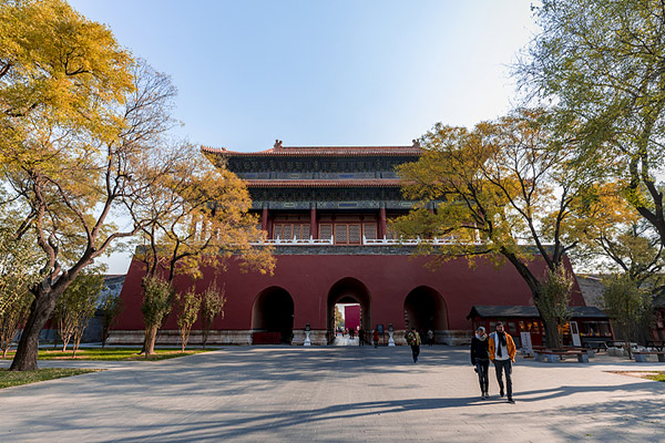 1514182265497092111.jpeg 5a305eeda3108bc89ad76d2c.jpeg