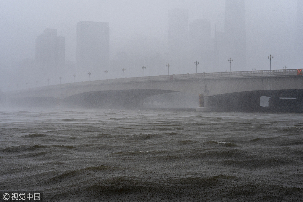 1537177274064033214.jpeg 1537177274064033214.jpeg