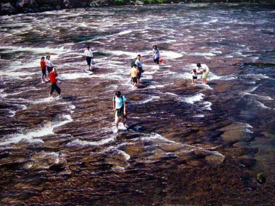 1534466379330015461.jpg 3.jpg