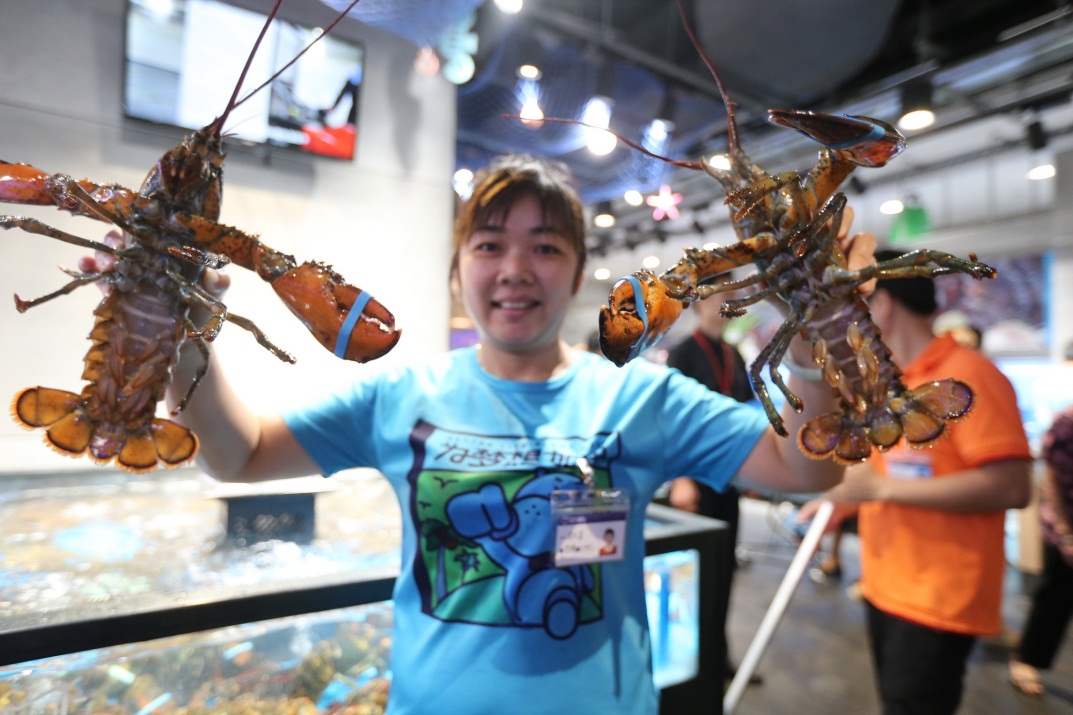 1538124689123036907.jpg 1538124689123036907.jpg