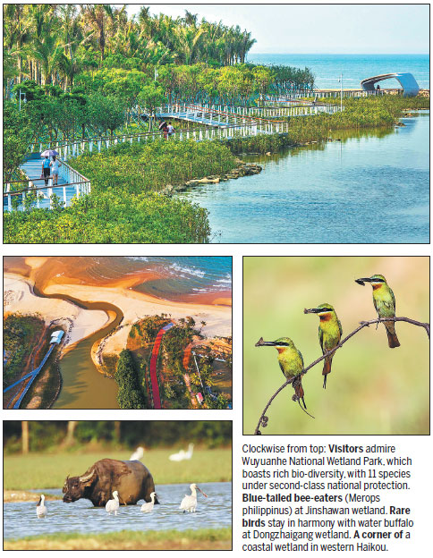 1539929864166073732.jpg y2.jpg