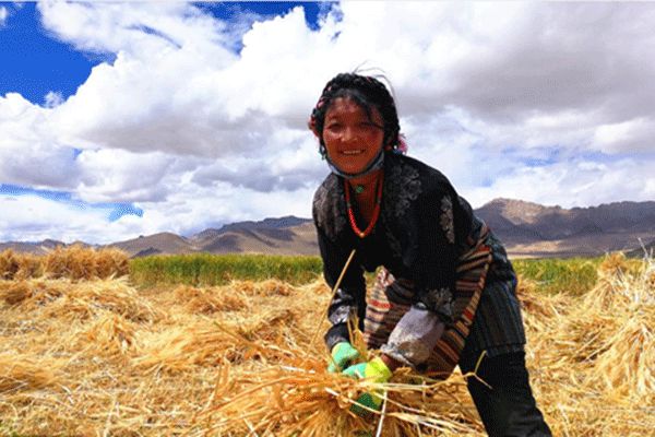 1539156812683014541.gif 6-1.gif