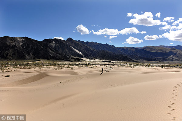 1540347739612014828.jpg 16-1.jpg