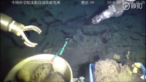 1540794120098076443.jpeg 5bd5bf60a310eff36902f207.jpeg