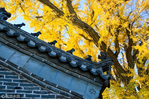 1540960997197038894.jpg 永兴寺2.jpg