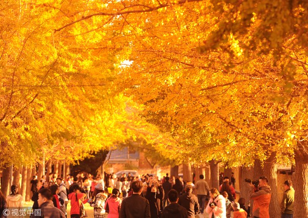 1540961066438016636.jpg 太阳沟1.jpg