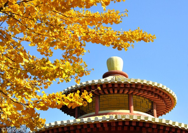 1540961151597053698.jpg 中山公园.jpg