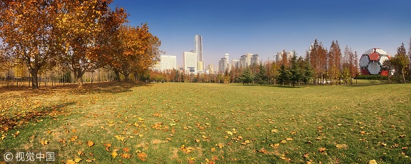 1540961176885079682.jpg 劳动公园.jpg