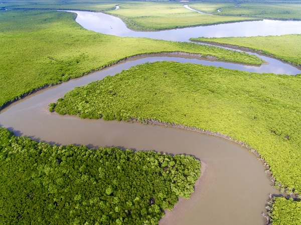 1540284030825027194.jpg r2.jpg