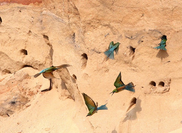 1540284045107009612.jpg r3.jpg