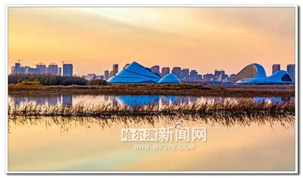 1540974106962015654.jpg 8ea1e6445f366c75007ae95afc63d167.jpg