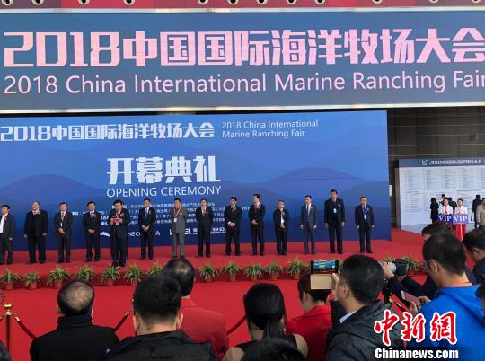 1541132382576010251.jpg 11.jpg