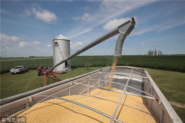 1541145999493071545.jpg 5bdbb048a310eff369040a30_副本.jpg