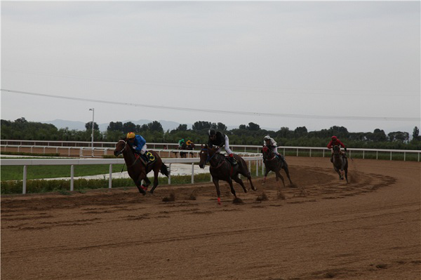 1531645095830052327.png Jockeys compete during a horse racing competition in Hohhot, Inner Mongolia autonomous region, July 7.png