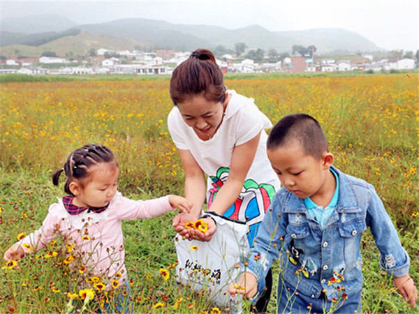 1534396859442044610.jpg Visitors pick snow chrysanthemums at the festival held in Hohhot, Inner Mongolia autonomous region, Aug 12.jpg