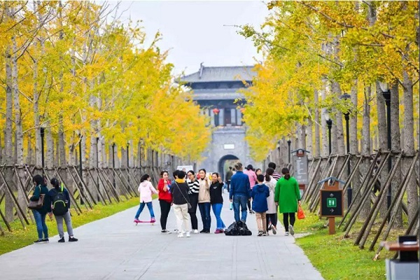 1541489056448094798.jpg 微信图片_20181106131344.jpg