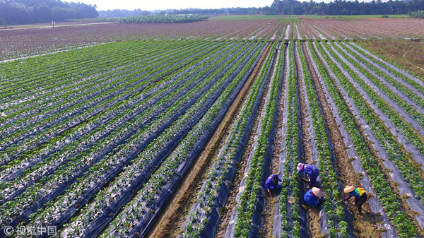 1541123690862030358.jpg ww_副本.jpg