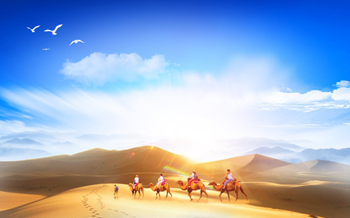 1542093509050028327.jpg 1773_副本.jpg